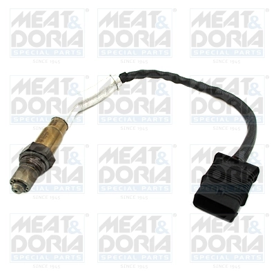 Oxygen Sensor